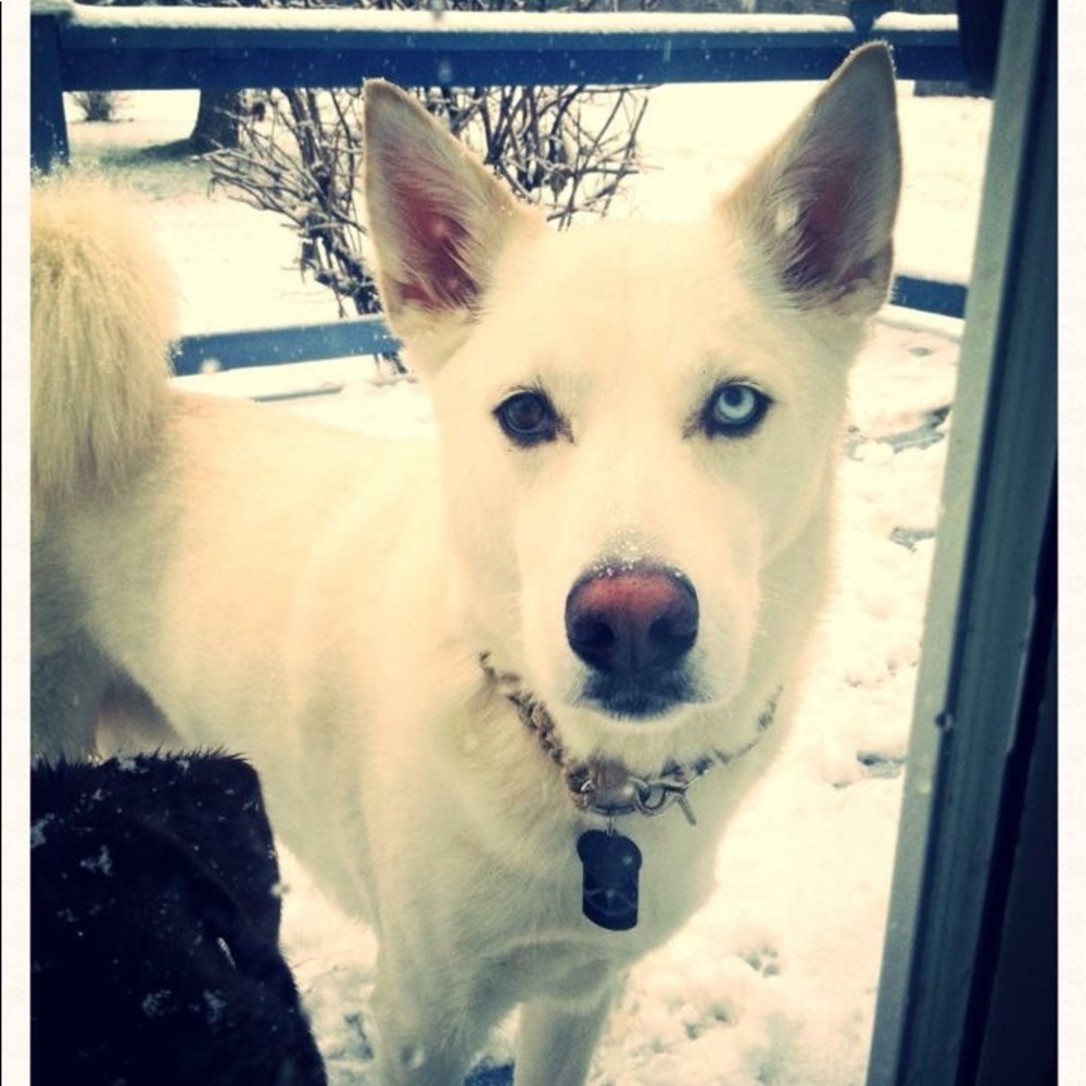 Meet your Posher, Kristy